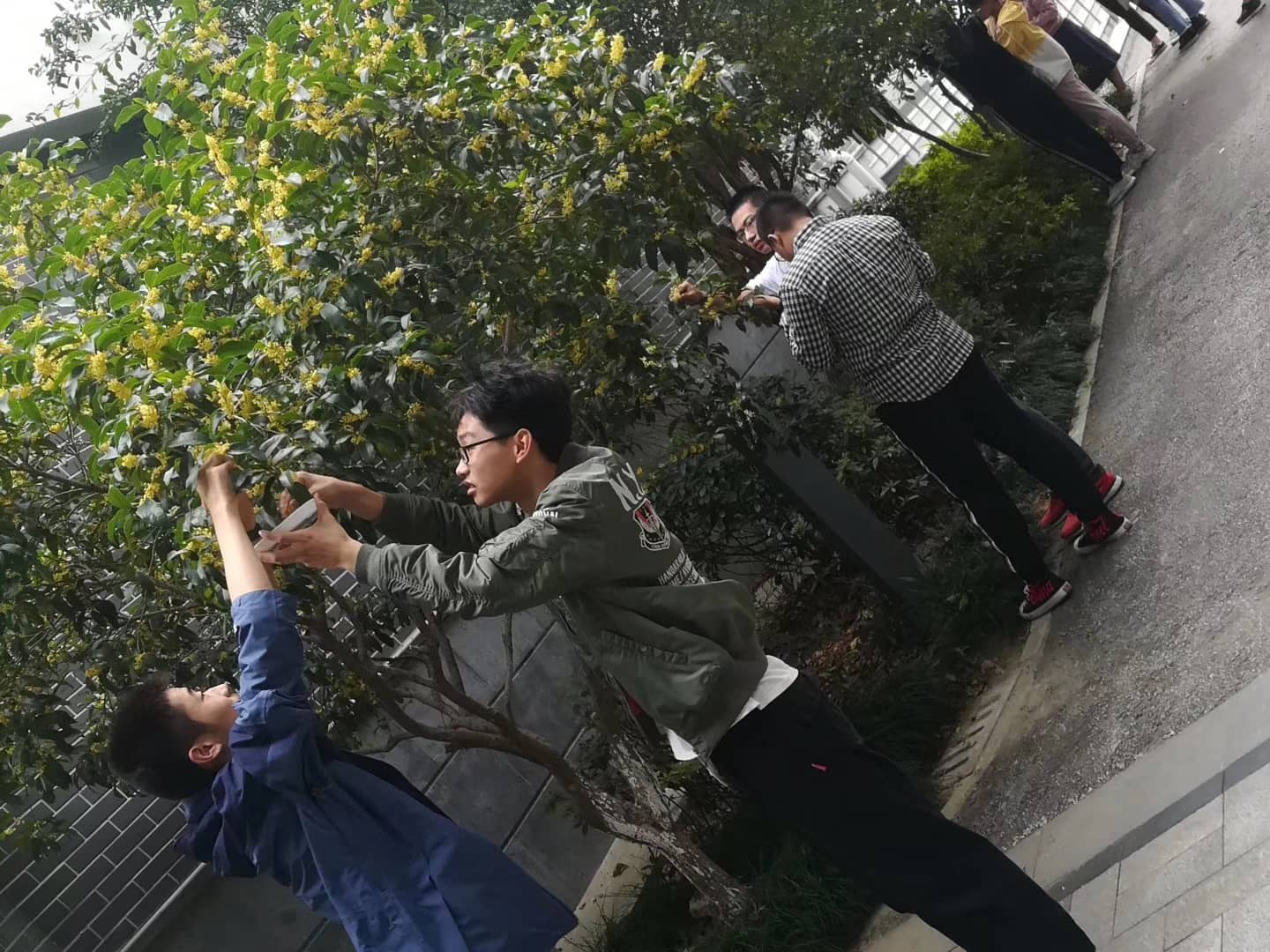 微信图片_20191017130930.jpg