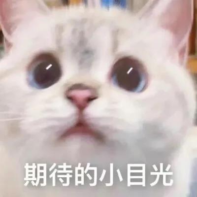 微信图片_20210810103555.jpg